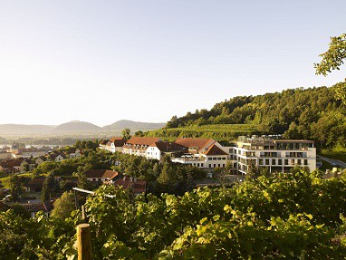 Steigenberger Hotel and Spa Krems: Exterior View